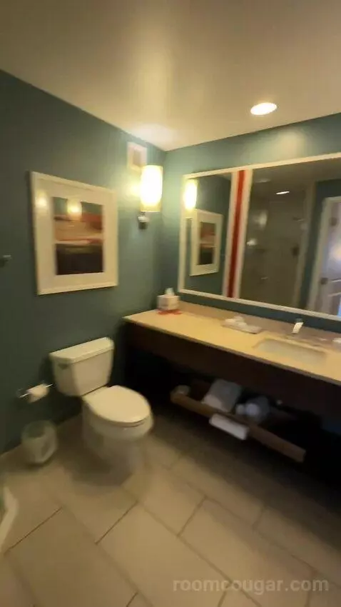 Queen Room with Two Queen Beds (#504) bathroom picture #3
