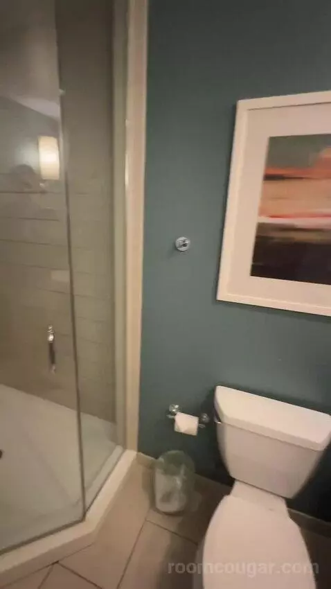 Queen Room with Two Queen Beds (#504) bathroom picture #9