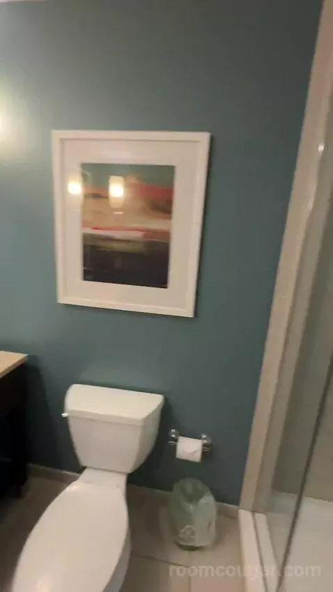 King Room with Petco Park View (#514) bathroom picture #5