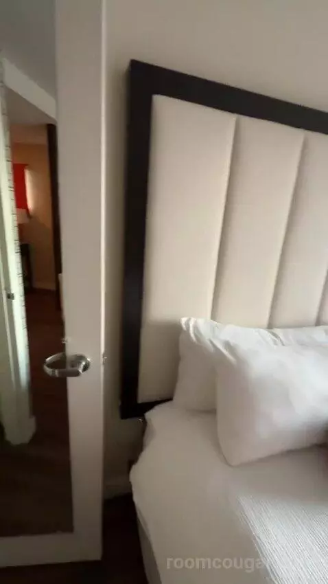King Room with Petco Park View (#514) bed picture #8