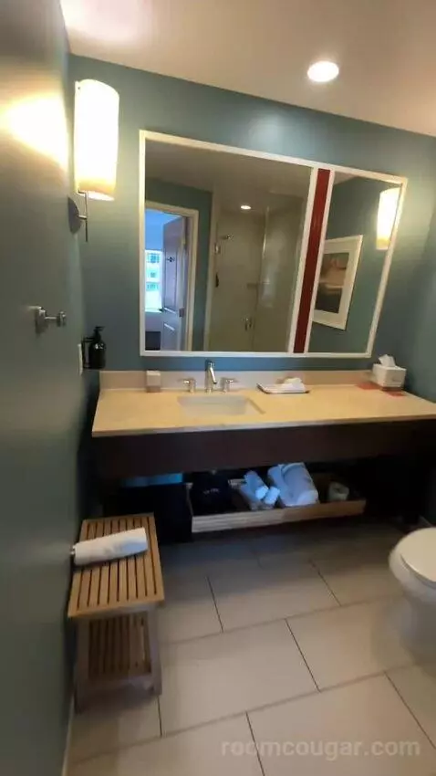 King Room with Petco Park View (#514) bathroom picture #3