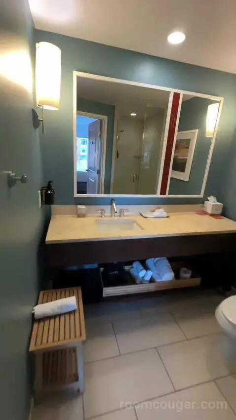 King Room with Petco Park View (#514) bathroom picture #4