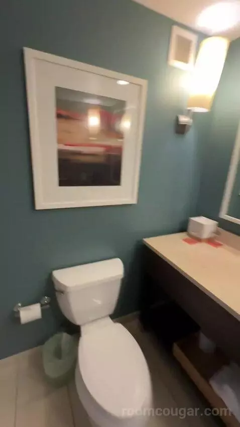 Premium Queen Room with Two Queen Beds and Village View (#804) bathroom picture #8