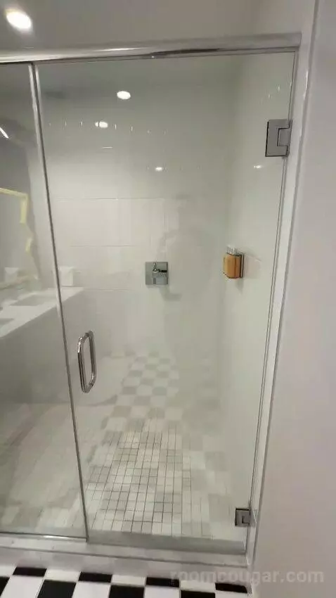 King Suite (#910) bathroom picture #4