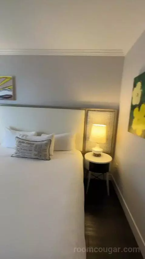 Cool King Room (#914) picture #16