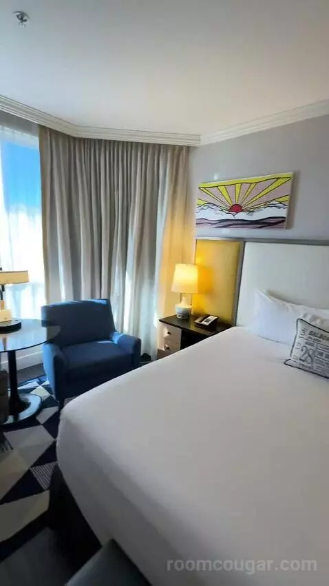 Cool King Room (#914) picture #17