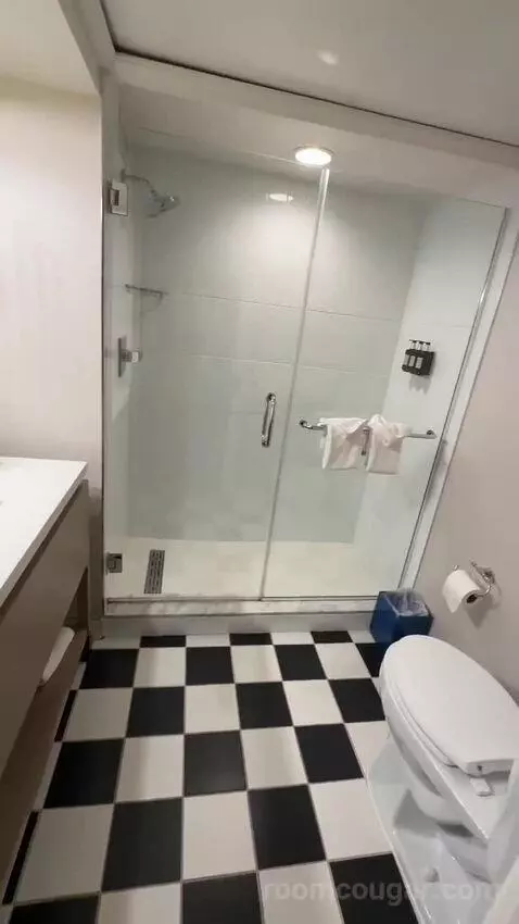 Fab King Room (#401) bathroom picture #3