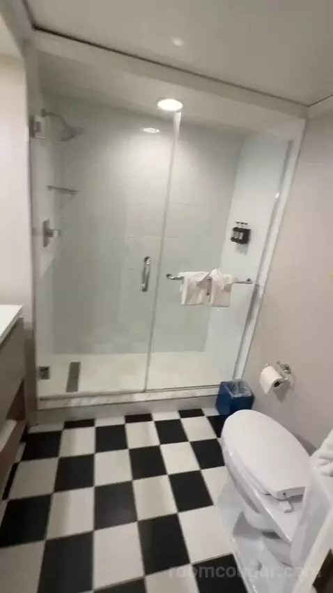 Fab King Room (#401) bathroom picture #4