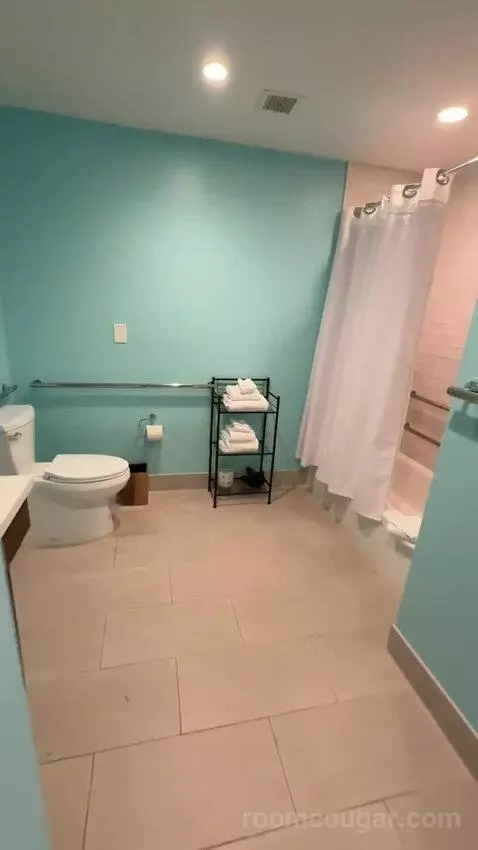 Standard ADA-Accessible King Room (#1019) bathroom picture #1