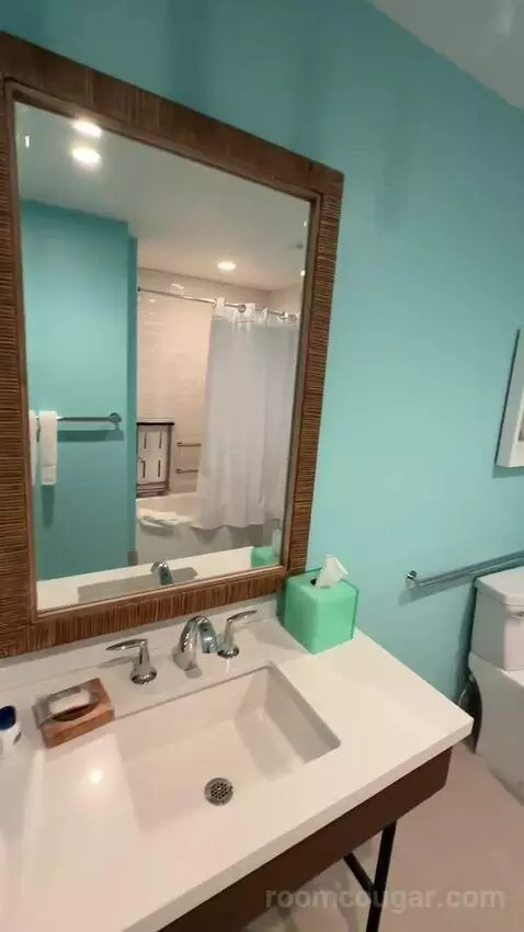 Standard ADA-Accessible King Room (#1019) bathroom picture #3