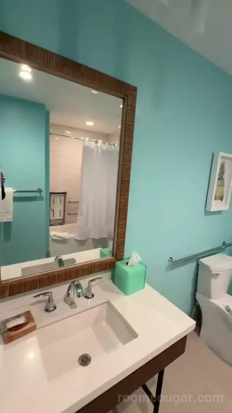 Standard ADA-Accessible King Room (#1019) bathroom picture #4