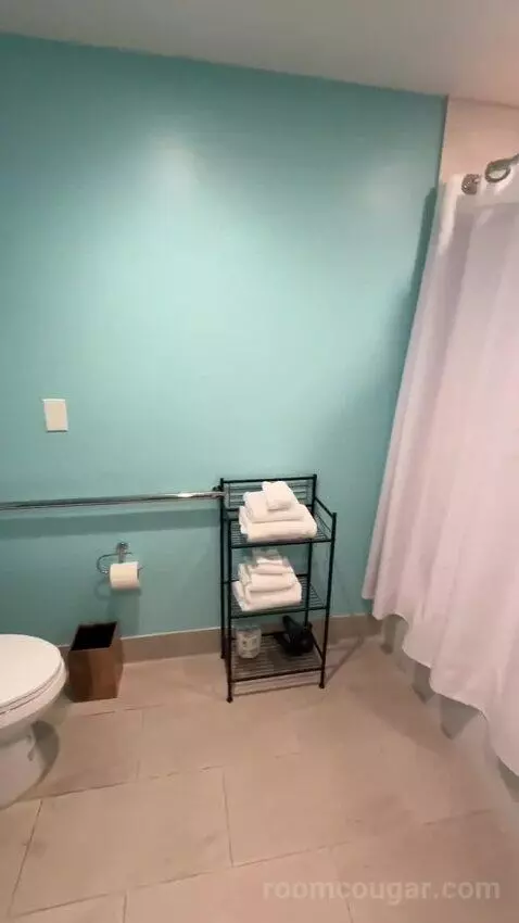 Standard ADA-Accessible King Room (#1019) bathroom picture #5