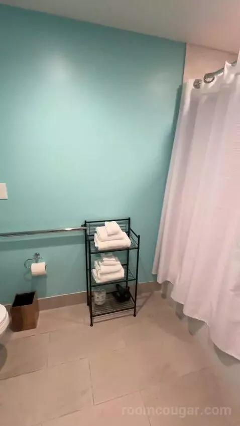 Standard ADA-Accessible King Room (#1019) bathroom picture #6