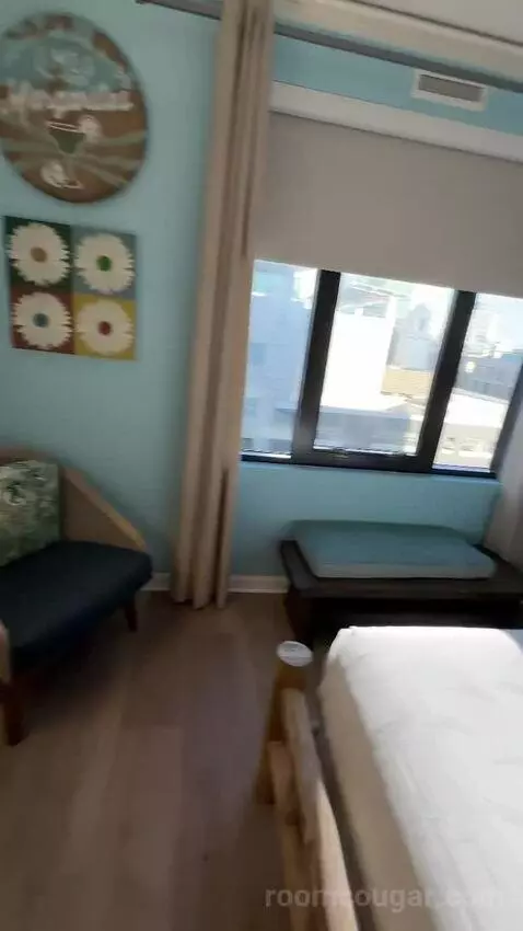 Standard Queen Two Queen Beds (#520) bed picture #7