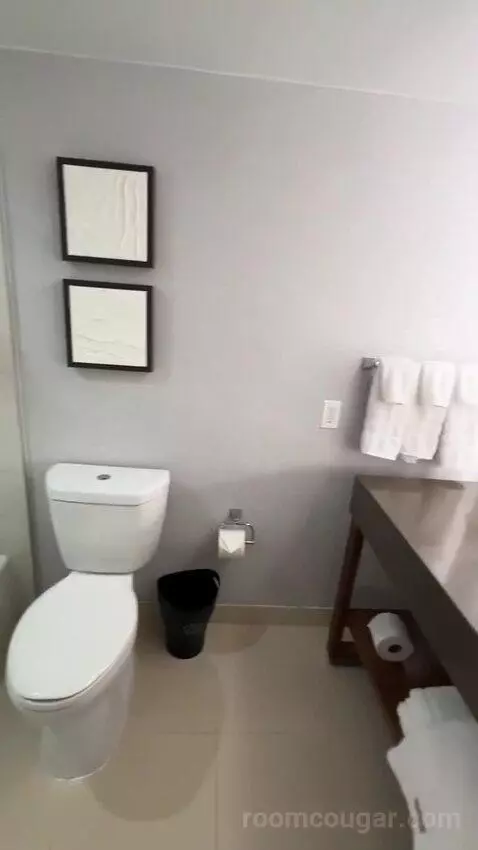 Double Room with Two Double Beds and City View (#821) bathroom picture #7