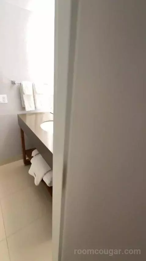 Deluxe Guest Room, 1 King, City View (#1811) bathroom picture #2