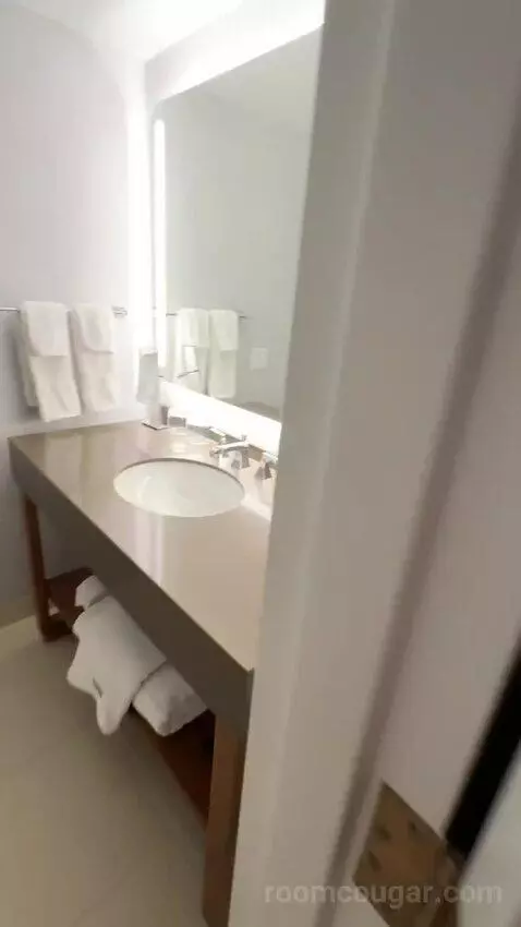 Deluxe Guest Room, 1 King, City View (#1811) bathroom picture #4