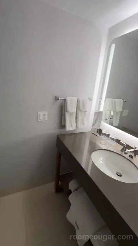 Deluxe Guest Room, 1 King, City View (#1811) bathroom picture #5