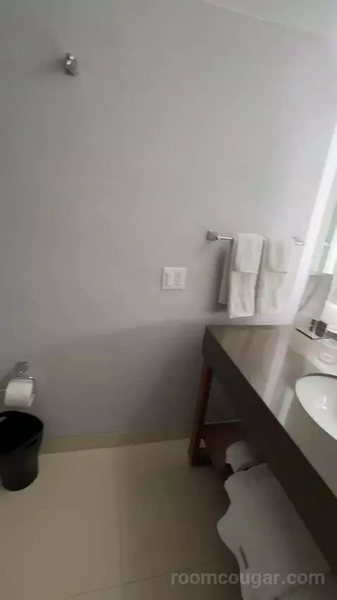 Deluxe Guest Room, 1 King, City View (#1811) bathroom picture #7