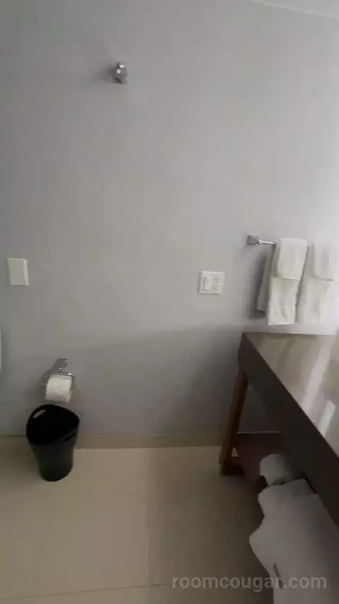 Deluxe Guest Room, 1 King, City View (#1811) bathroom picture #8