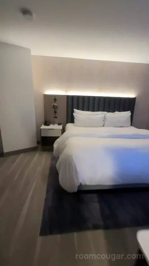 Deluxe Guest Room, 1 King, City View (#1811) bed picture #2