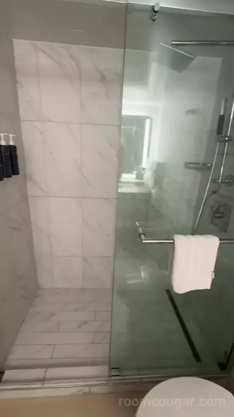 Deluxe Guest Room, 1 King, City View (#1811) bathroom picture #9