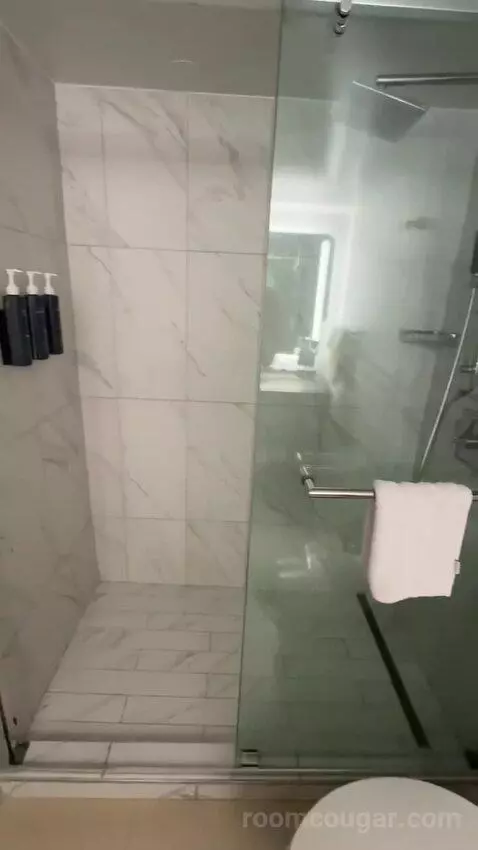 Deluxe Guest Room, 1 King, City View (#1811) bathroom picture #10