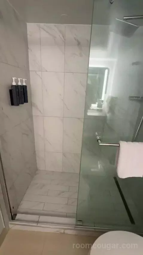 Deluxe Guest Room, 1 King, City View (#1811) bathroom picture #12