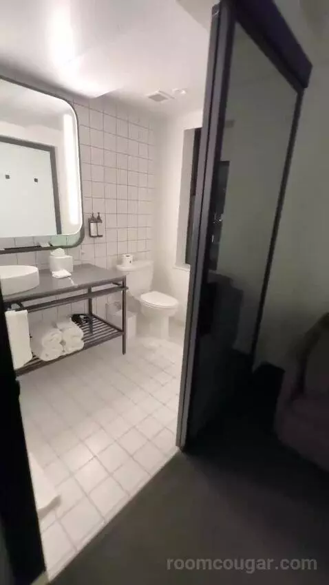 Deluxe Jr Suite, Corner Room, 1 King, 1 Sofa Bed (#308) bathroom picture #1