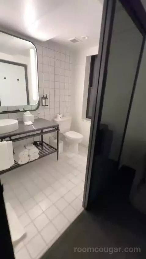 Deluxe Jr Suite, Corner Room, 1 King, 1 Sofa Bed (#308) bathroom picture #2