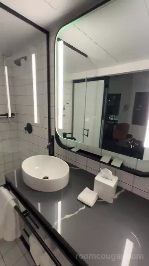 Deluxe Jr Suite, Corner Room, 1 King, 1 Sofa Bed (#308) bathroom picture #9