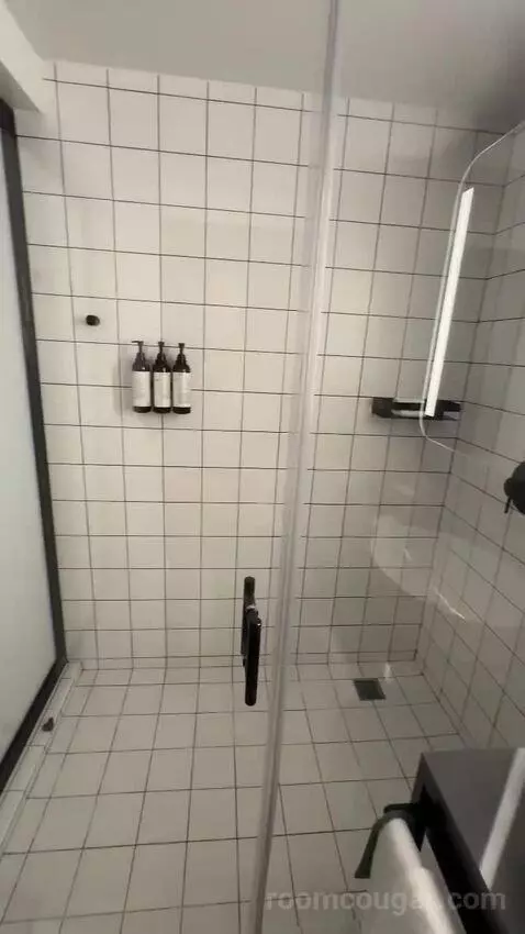 Deluxe Jr Suite, Corner Room, 1 King, 1 Sofa Bed (#308) bathroom picture #10
