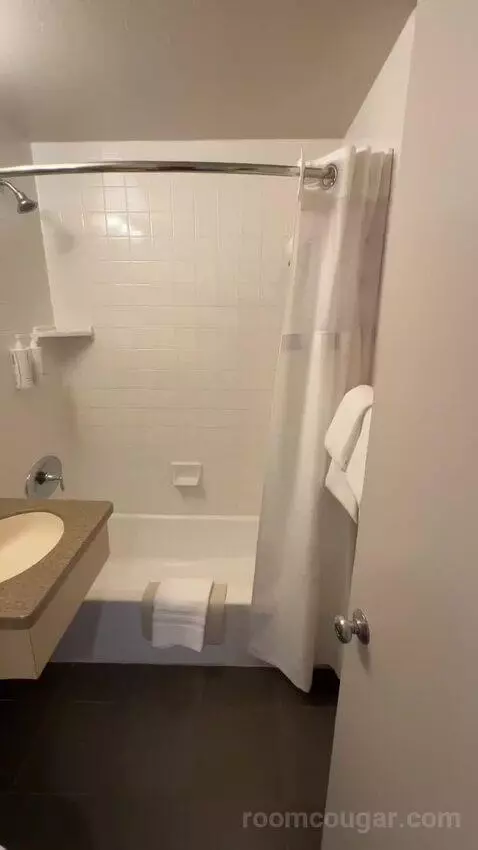 Premier King Room (#167) bathroom picture #2