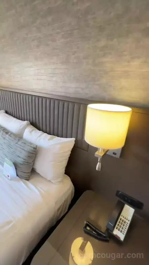 Premier King Room (#167) bed picture #3