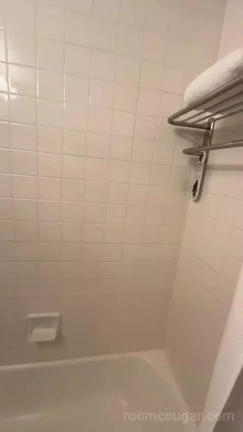 Premier King Room (#167) bathroom picture #6