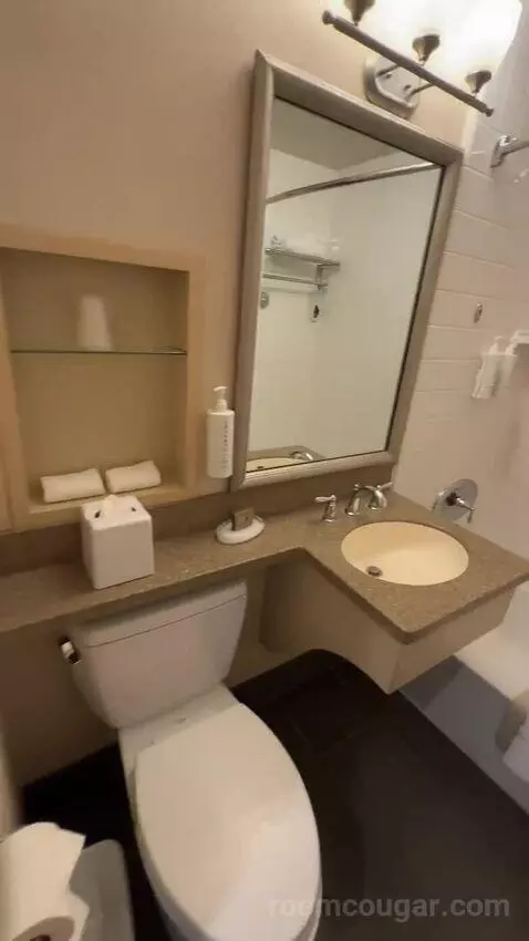 Premier King Room (#167) bathroom picture #9
