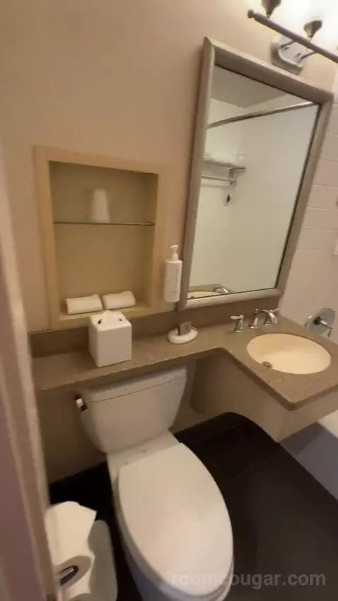 Premier King Room (#167) bathroom picture #10