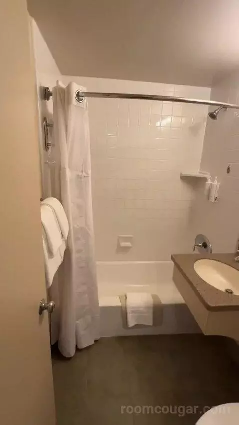 Premier Double Room with Two Double Beds (#166) bathroom picture #3