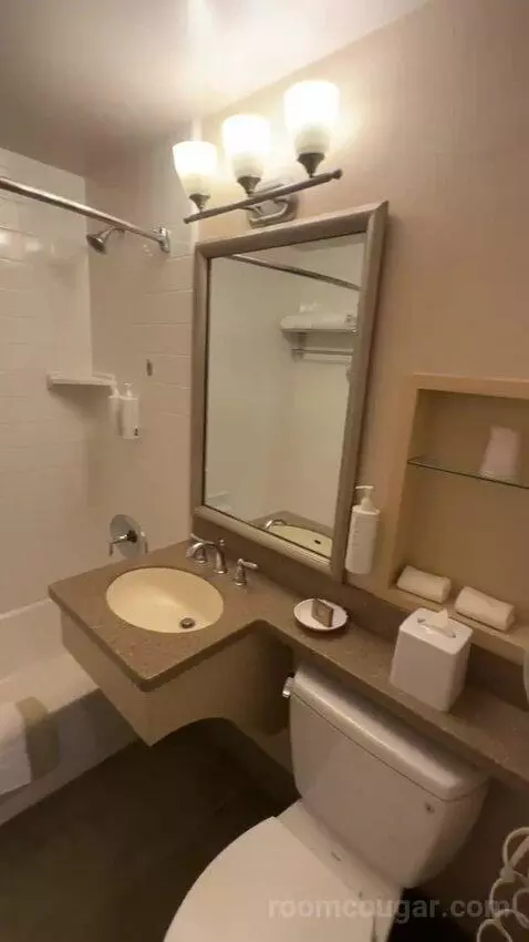 Premier Double Room with Two Double Beds (#166) bathroom picture #4