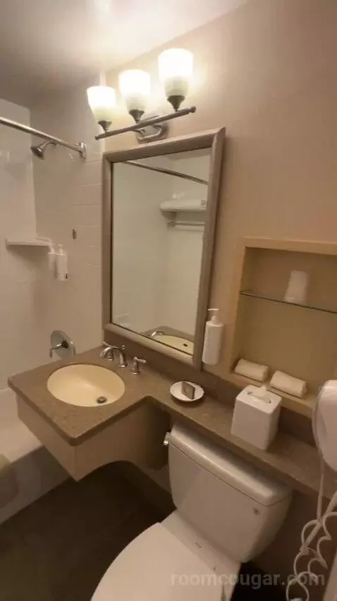Premier Double Room with Two Double Beds (#166) bathroom picture #5