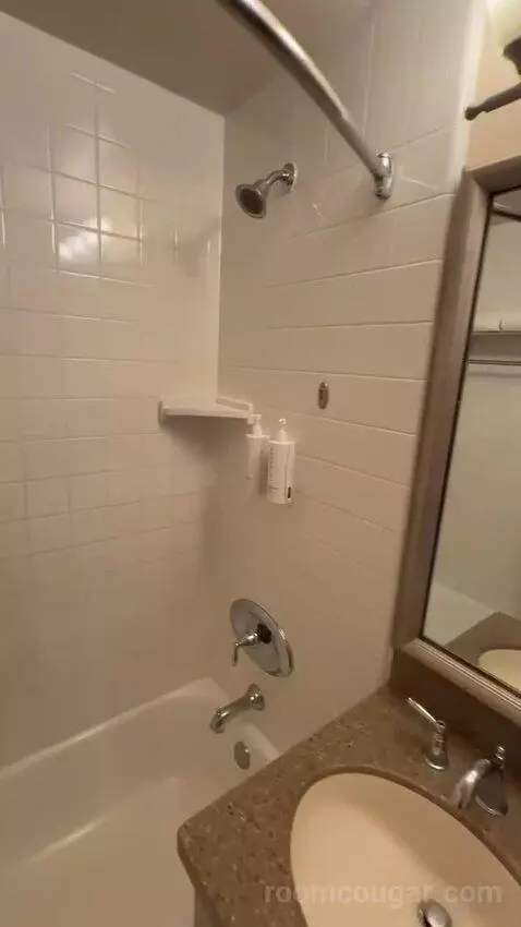 Premier Double Room with Two Double Beds (#166) bathroom picture #7