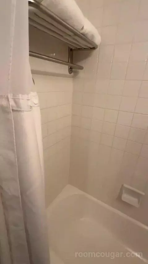 Premier Double Room with Two Double Beds (#166) bathroom picture #10
