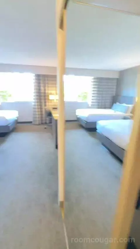 Standard Double Room with Two Double Beds (#115) view picture #2