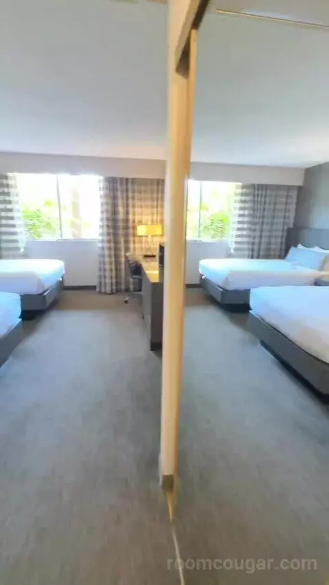 Standard Double Room with Two Double Beds (#115) view picture #3