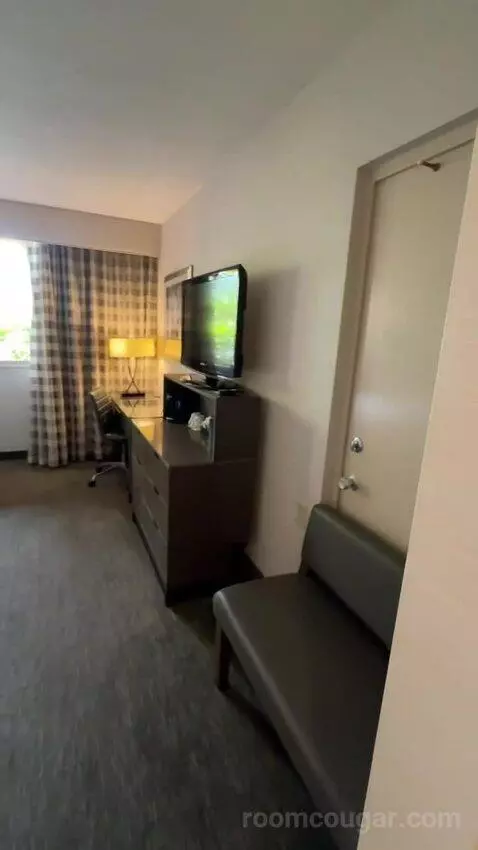 Standard Double Room with Two Double Beds (#115) picture #12