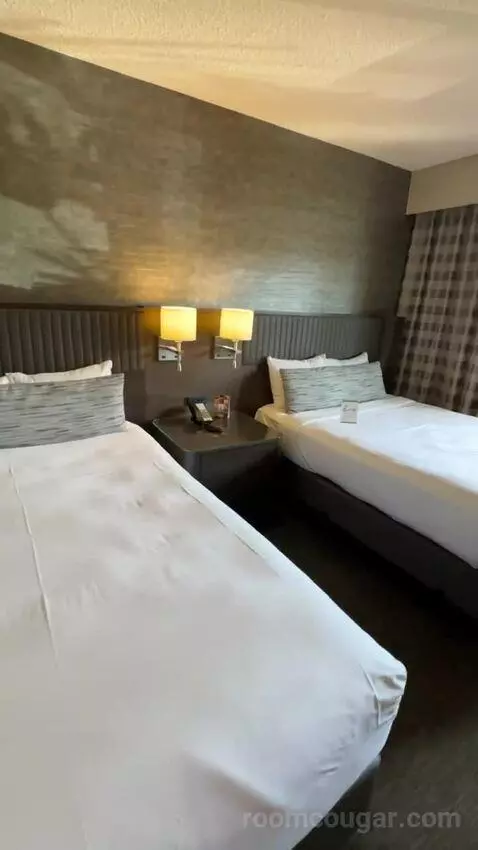 Standard Double Room with Two Double Beds (#115) picture #16