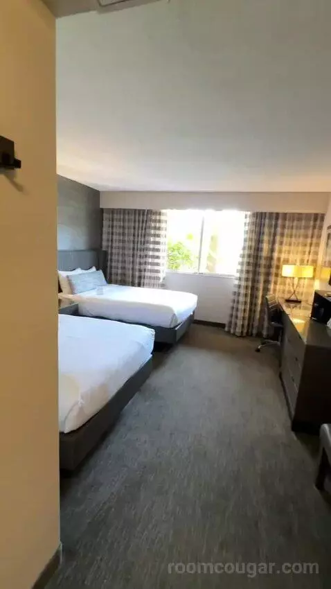 Standard Double Room with Two Double Beds (#115) picture #3