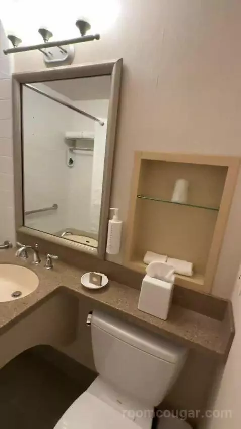 Standard Double Room with Two Double Beds (#115) bathroom picture #3