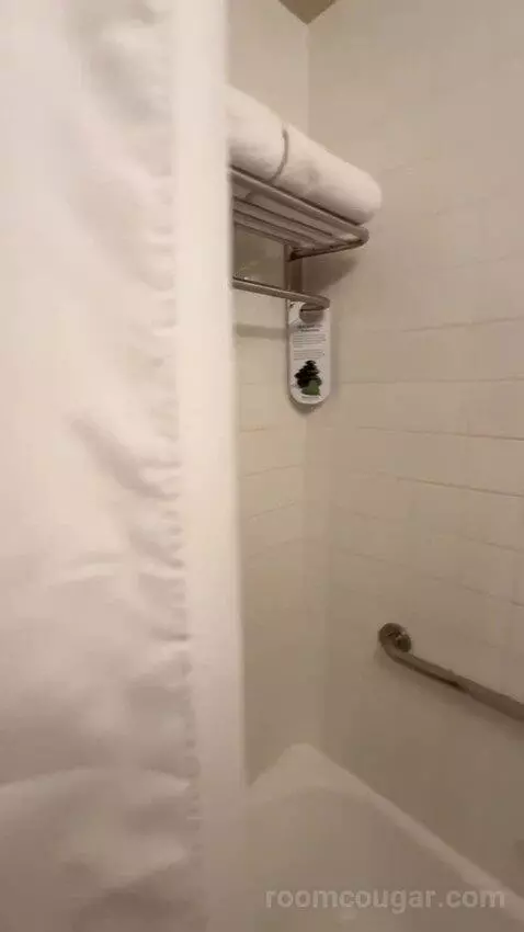 Standard Double Room with Two Double Beds (#115) bathroom picture #7