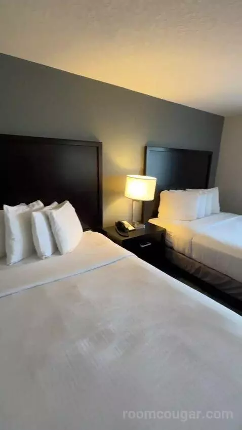 Queen Rooms with Two Queen Beds (#314) bed picture #4